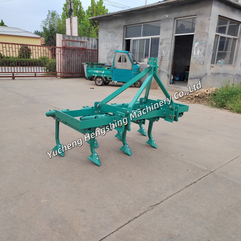 1764150950997815. jpg